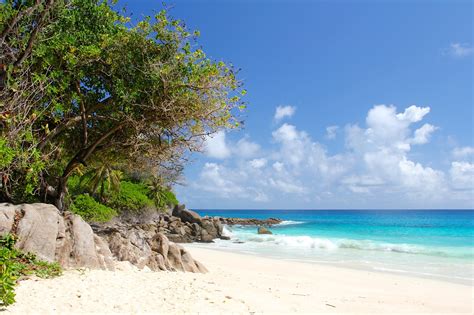300+ Free Seychelles & Nature Images .